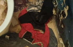 Remise en etat d'appartement à Gray