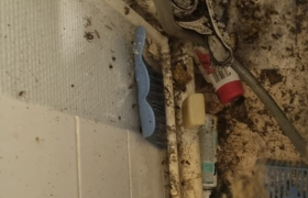 Remise en etat d'appartement à Gray