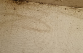 Remise en etat d'appartement à Gray