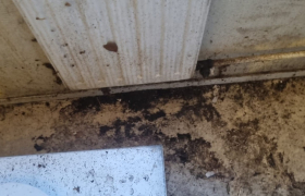 Remise en etat d'appartement à Gray