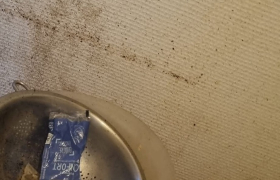 Remise en etat d'appartement à Gray