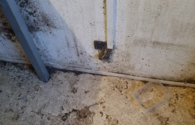 Remise en etat d'appartement à Gray