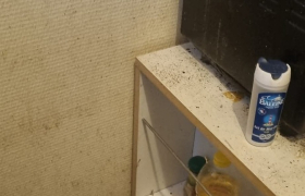 Remise en etat d'appartement à Gray