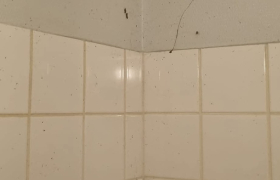 Remise en etat d'appartement à Gray