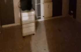 Remise en etat d'appartement à Gray