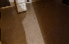 Remise en etat d'appartement à Gray