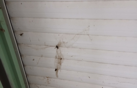 Nettoyage stores pvc