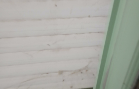 Nettoyage stores pvc